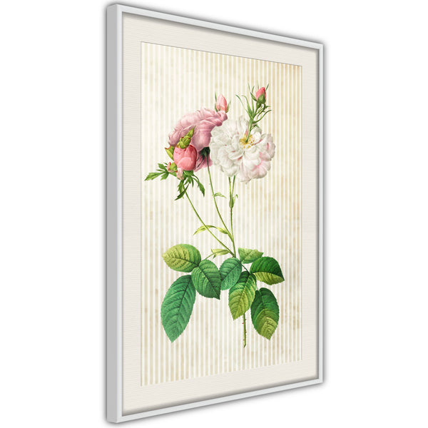 Poster - Romance I  - wit passepartout