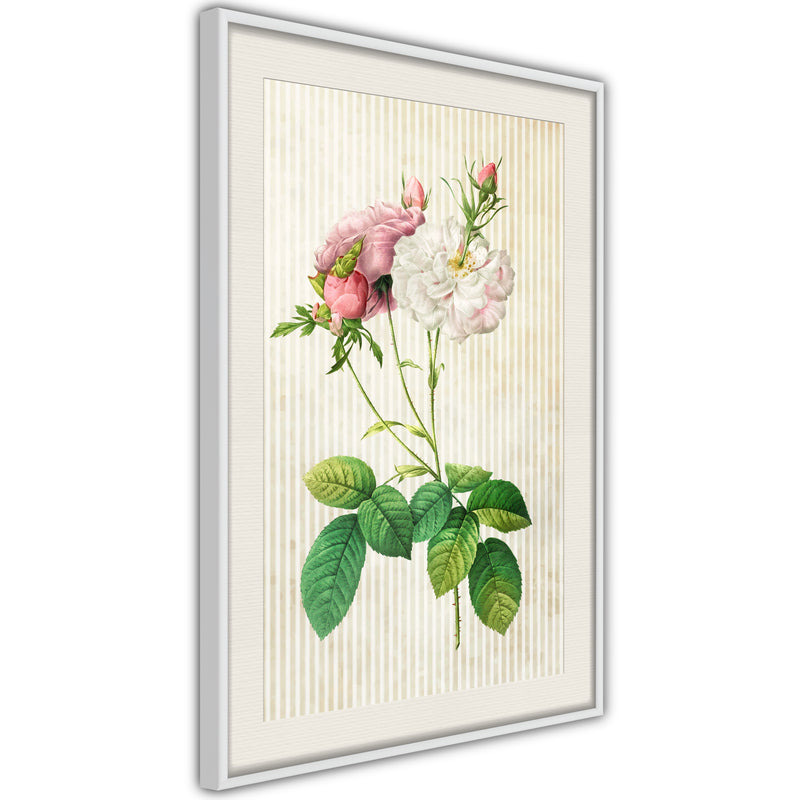 Poster - Romance I  - wit passepartout