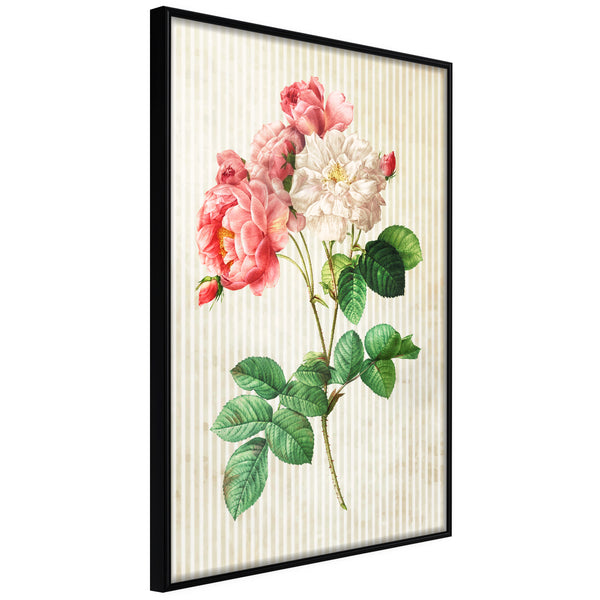 Poster - Romance II  - zwart