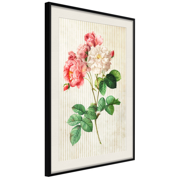 Poster - Romance II  - zwart passepartout