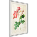 Poster - Romance II  - wit passepartout