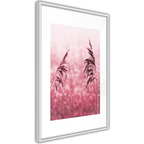 Poster - Amaranth Meadow  - wit