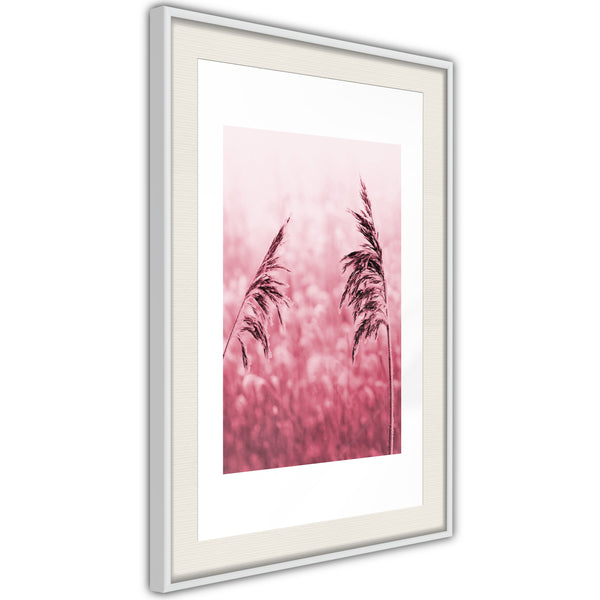 Poster - Amaranth Meadow  - wit passepartout