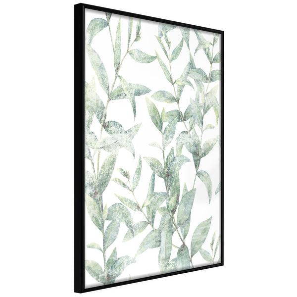 Poster - Sheer Batiste  - zwart