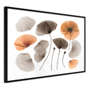 Poster - Dried Poppies  - zwart