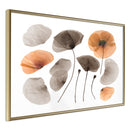 Poster - Dried Poppies  - goud