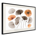 Poster - Dried Poppies  - zwart passepartout