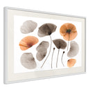 Poster - Dried Poppies  - wit passepartout