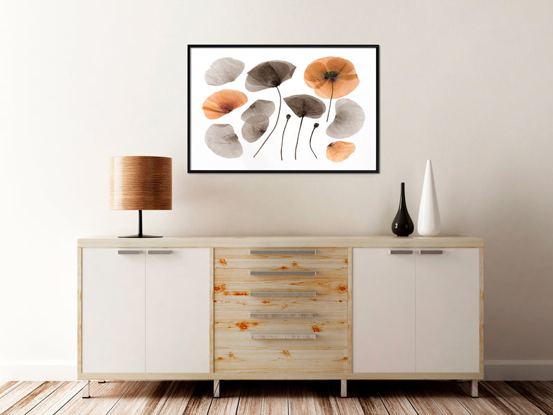 Poster - Dried Poppies  - zwart