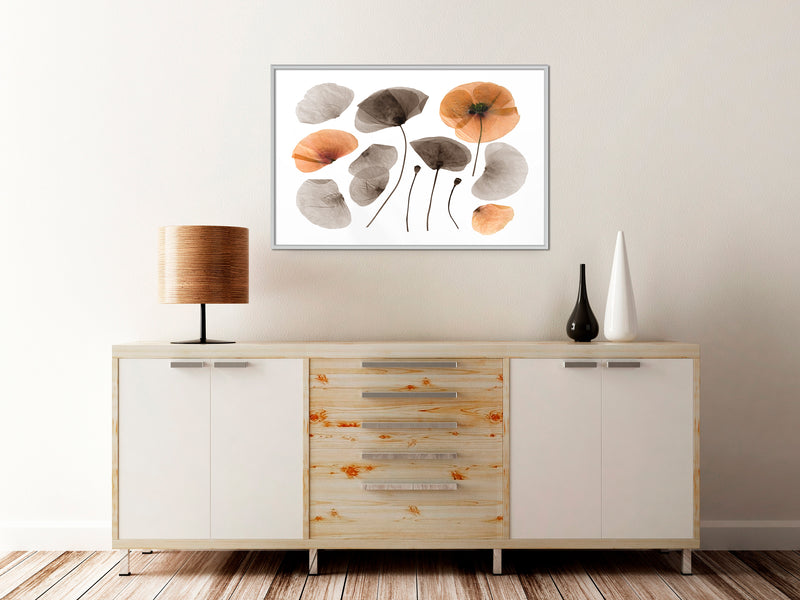Poster - Dried Poppies  - wit