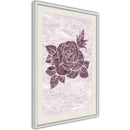 Poster - Monochromatic Rose  - wit passepartout