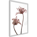 Poster - Flashback of Last Summer  - wit