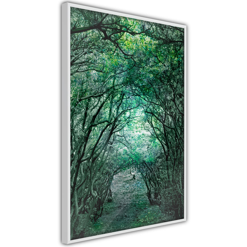 Poster - Tree Tunnel  - wit