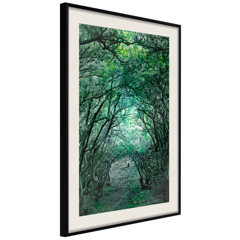 Poster - Tree Tunnel  - zwart passepartout