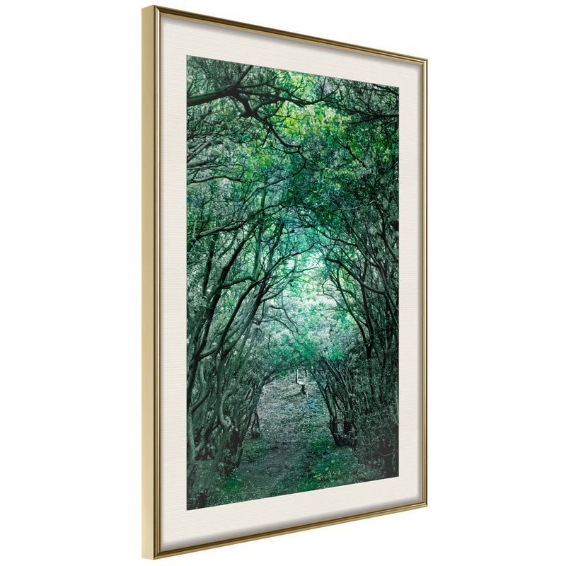 Poster - Tree Tunnel  - goud passepartout