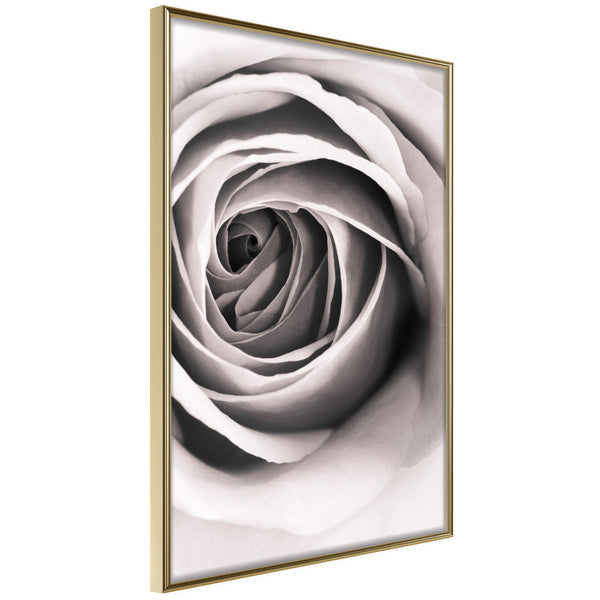 Poster - Structure of Petals  - goud