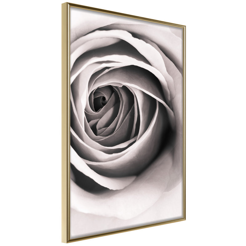 Poster - Structure of Petals  - goud