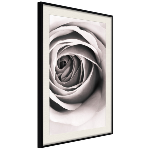 Poster - Structure of Petals  - zwart passepartout