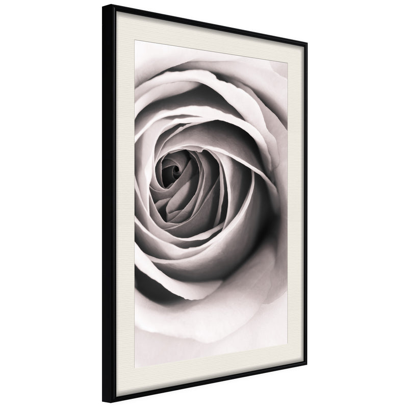 Poster - Structure of Petals  - zwart passepartout