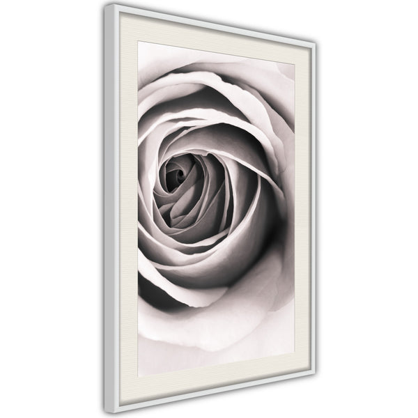 Poster - Structure of Petals  - wit passepartout