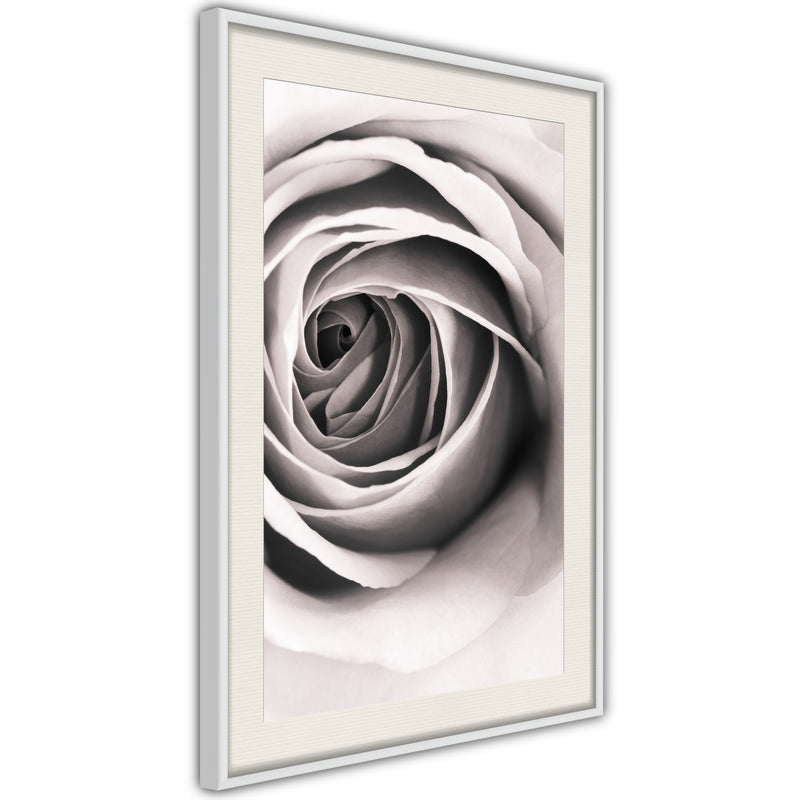 Poster - Structure of Petals  - wit passepartout