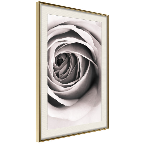 Poster - Structure of Petals  - goud passepartout