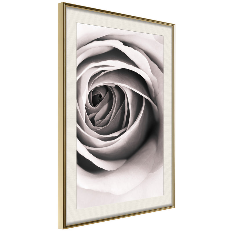 Poster - Structure of Petals  - goud passepartout