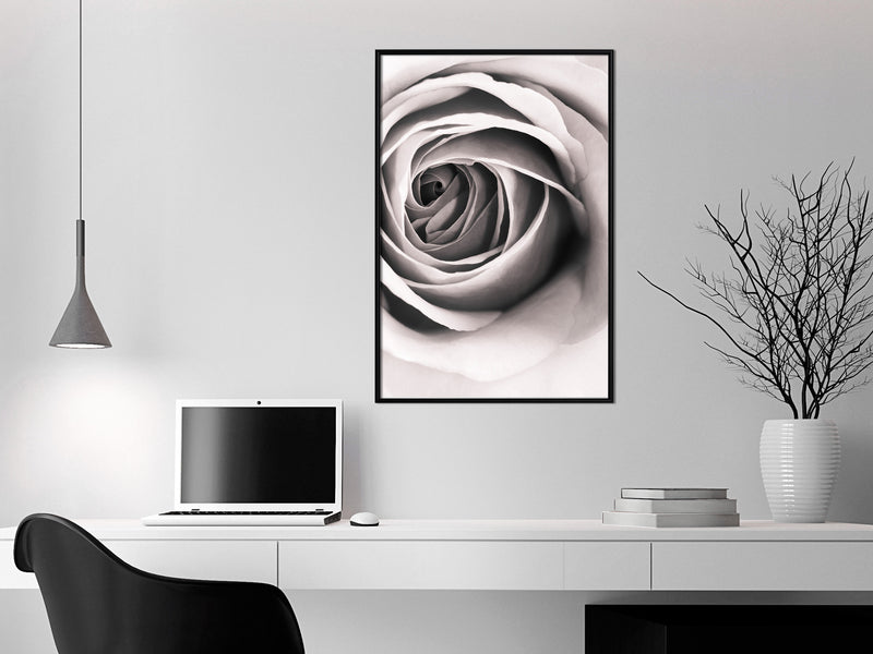 Poster - Structure of Petals  - zwart