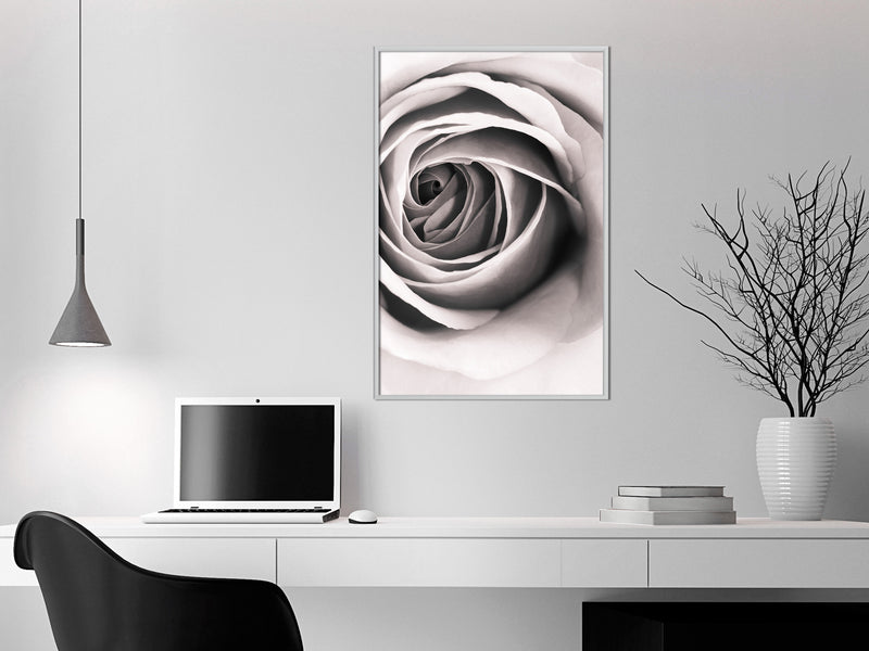 Poster - Structure of Petals  - wit
