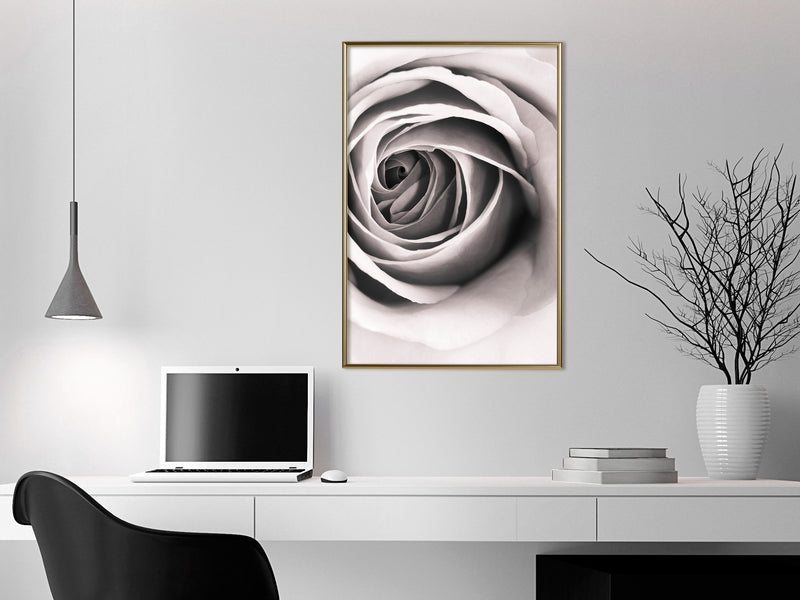 Poster - Structure of Petals  - goud