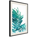 Poster - Teal Palm on White Background  - zwart passepartout