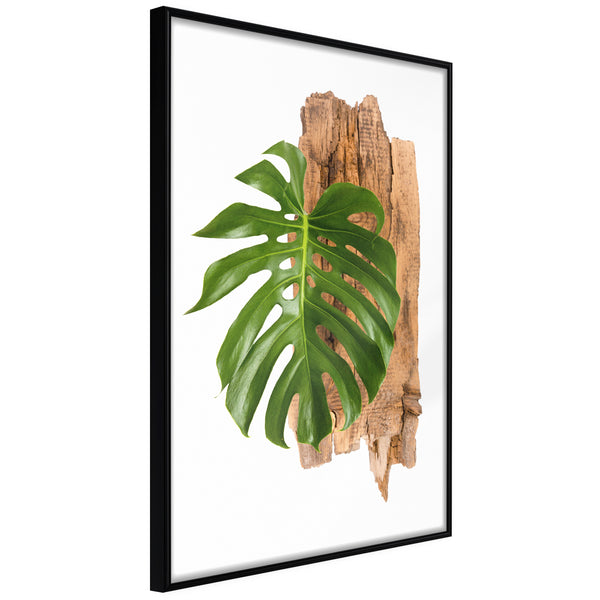 Poster - Leafy Etude  - zwart