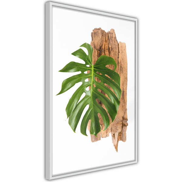 Poster - Leafy Etude  - wit
