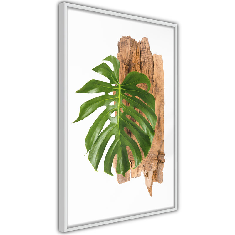 Poster - Leafy Etude  - wit
