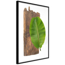 Poster - Forest Nature  - zwart