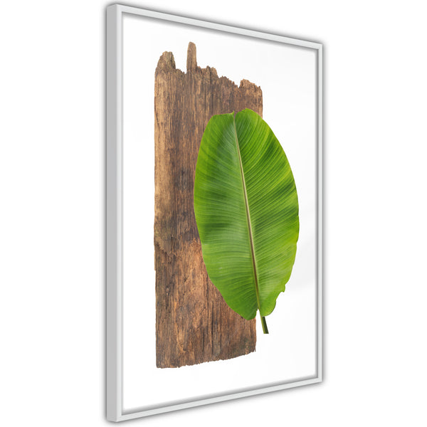 Poster - Forest Nature  - wit