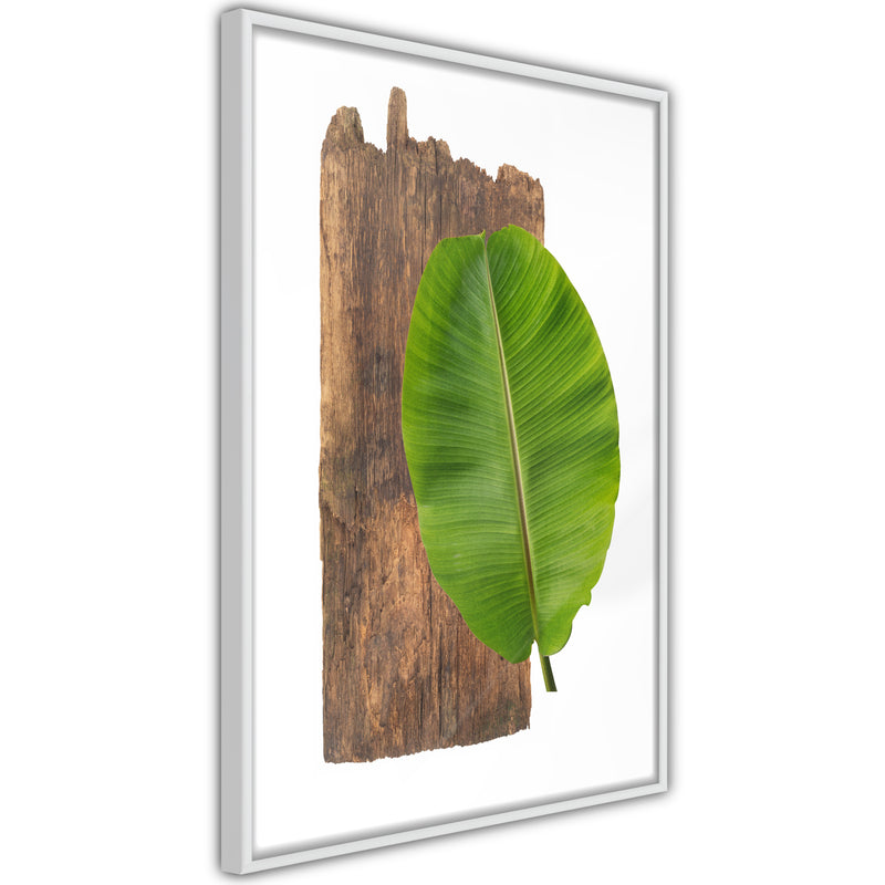 Poster - Forest Nature  - wit