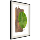 Poster - Forest Nature  - zwart passepartout