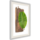 Poster - Forest Nature  - wit passepartout