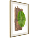 Poster - Forest Nature  - goud passepartout
