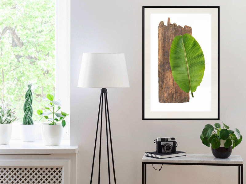 Poster - Forest Nature  - zwart passepartout
