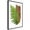 Poster - Expressive Ferm  - zwart