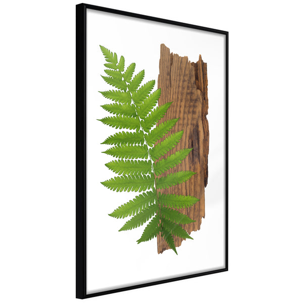 Poster - Expressive Ferm  - zwart