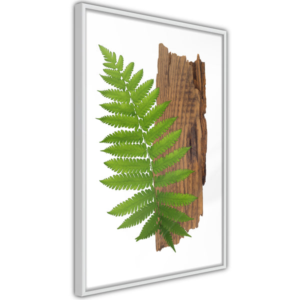 Poster - Expressive Ferm  - wit