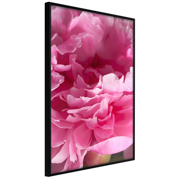 Poster - Magenta Madness  - zwart