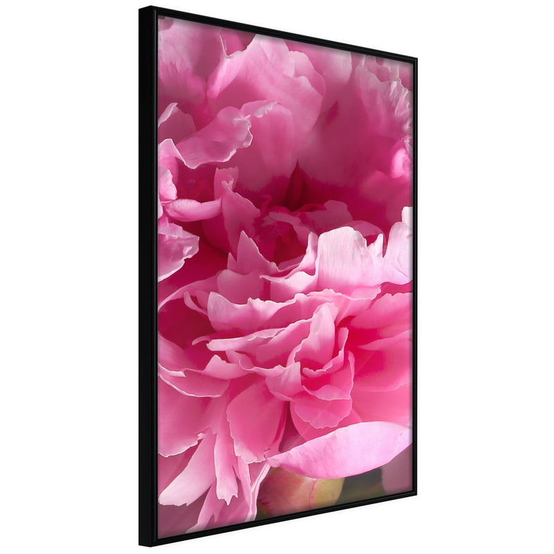 Poster - Magenta Madness  - zwart
