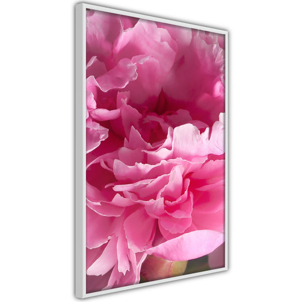 Poster - Magenta Madness  - wit