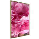 Poster - Magenta Madness  - goud