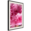 Poster - Magenta Madness  - zwart passepartout