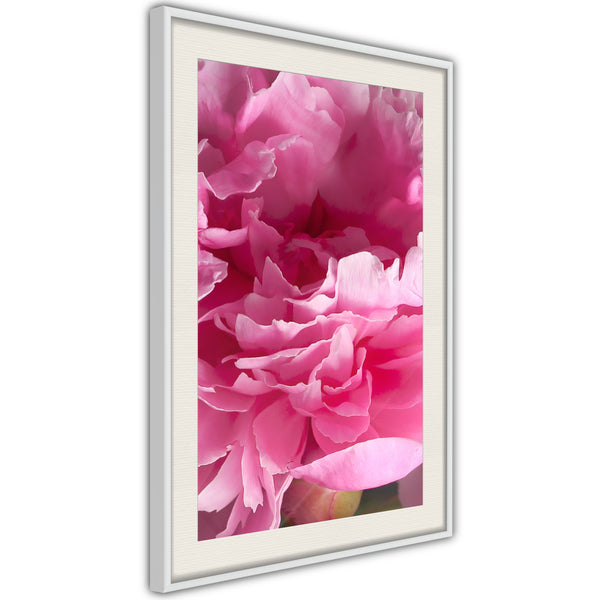 Poster - Magenta Madness  - wit passepartout